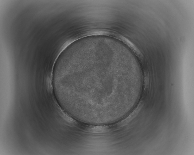 X0000111811178200908201104