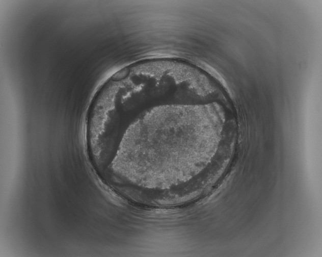 X0000111811179200908201104