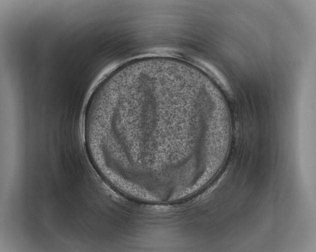 X0000111811180200908201104