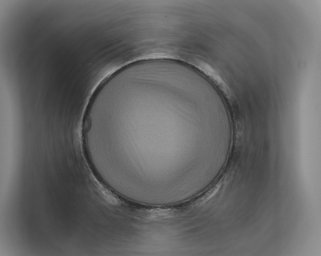 X0000111811181200908201104