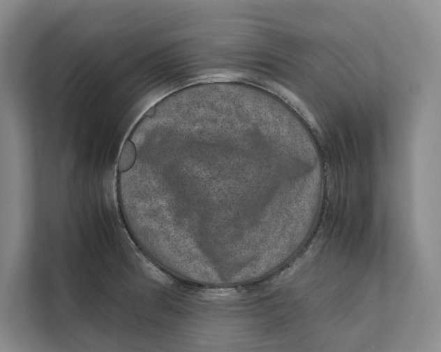 X0000111811186200908201104