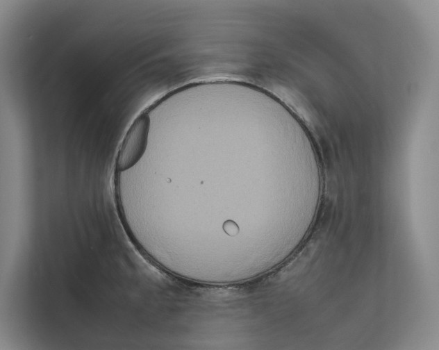 X0000111811189200908201104