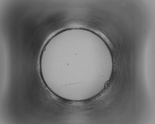 X0000111811191200908201104