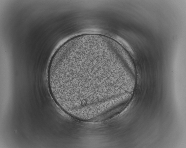 X0000111811192200908201104