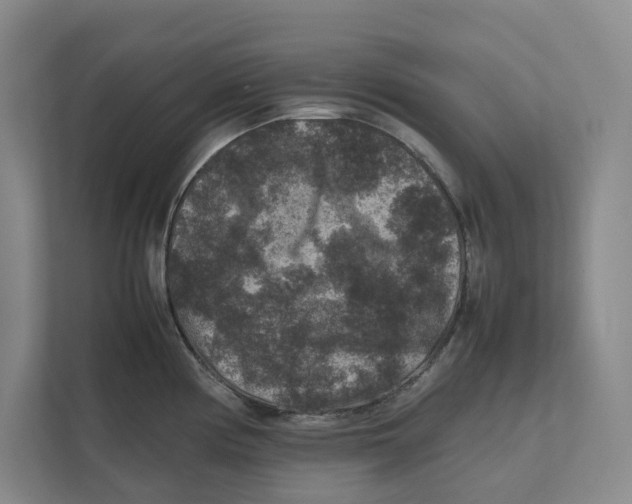 X0000111811194200908201104