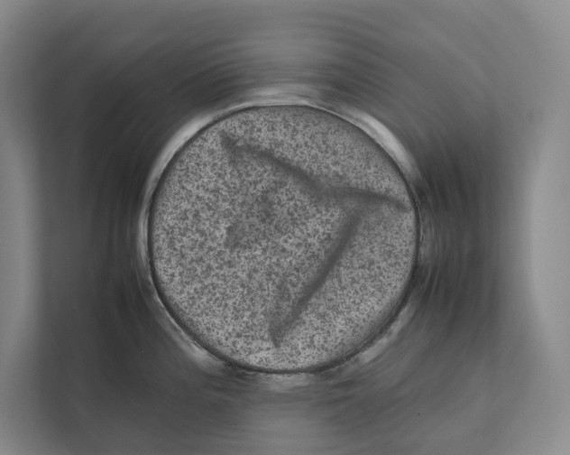X0000111811196200908201104