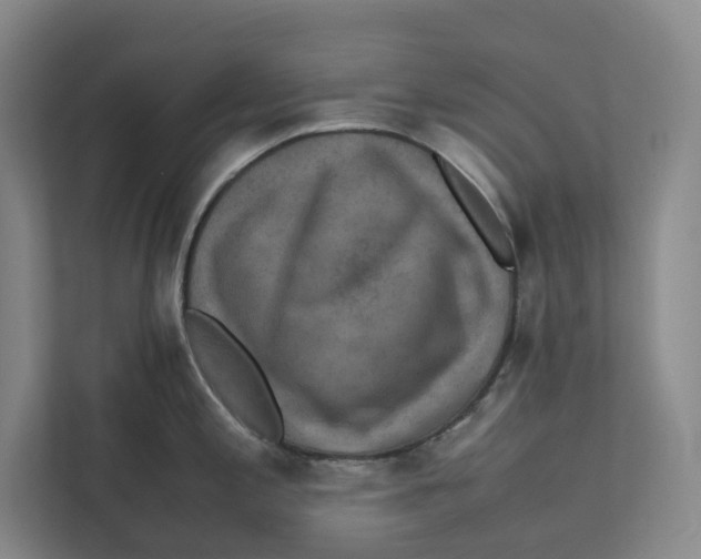 X0000111811197200908201104