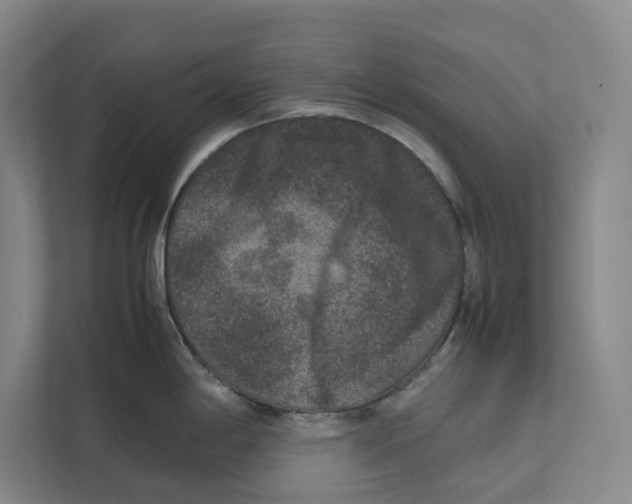 X0000111811198200908201104