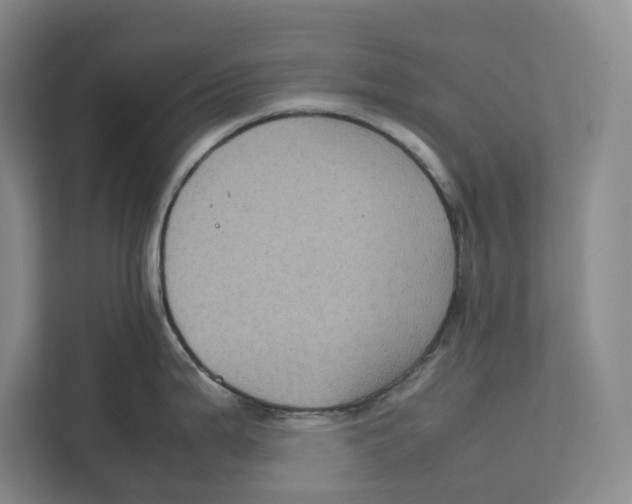 X0000111811199200908201104