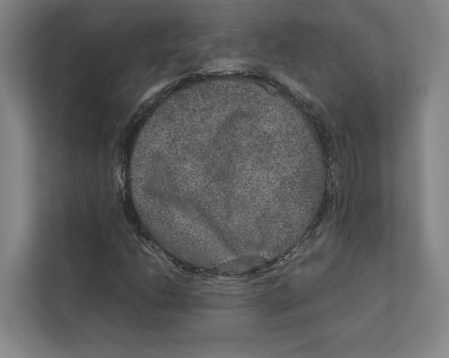 X0000111811206200908201103