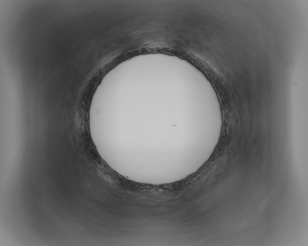 X0000111811207200908201103
