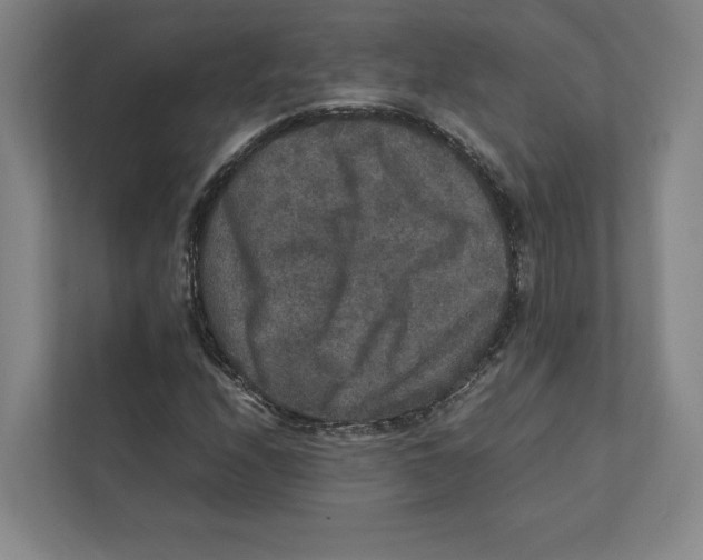 X0000111811208200908201103