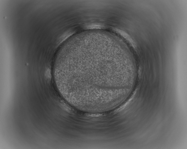 X0000111811209200908201103