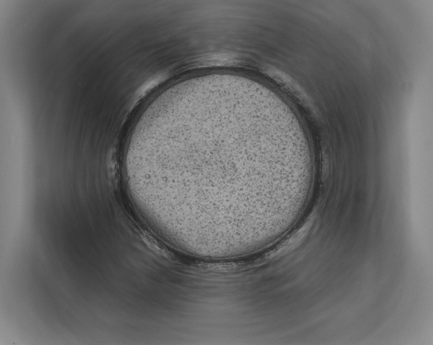 X0000111811210200908201103