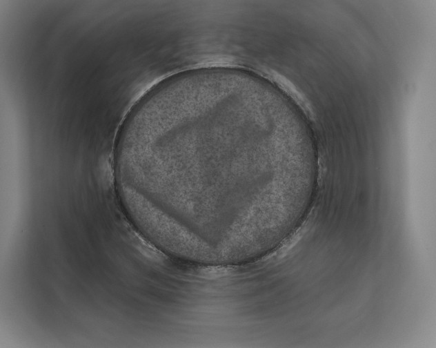 X0000111811212200908201103