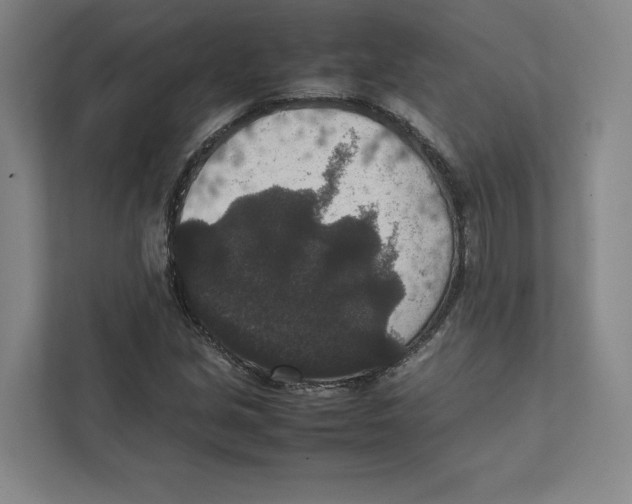 X0000111811213200908201103