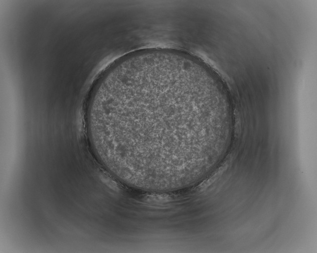 X0000111811215200908201103