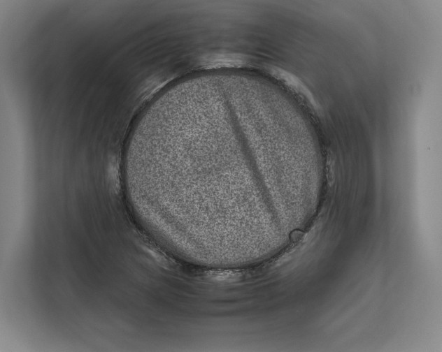 X0000111811217200908201103