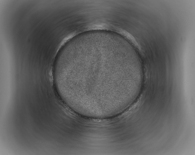 X0000111811218200908201103