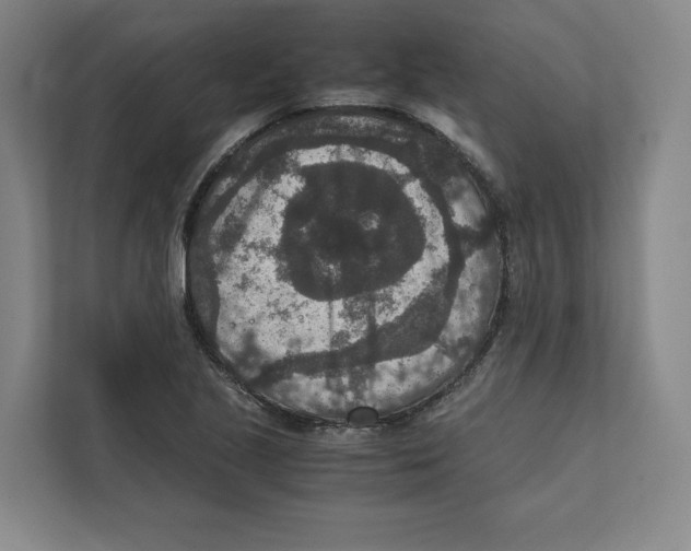 X0000111811221200908201103