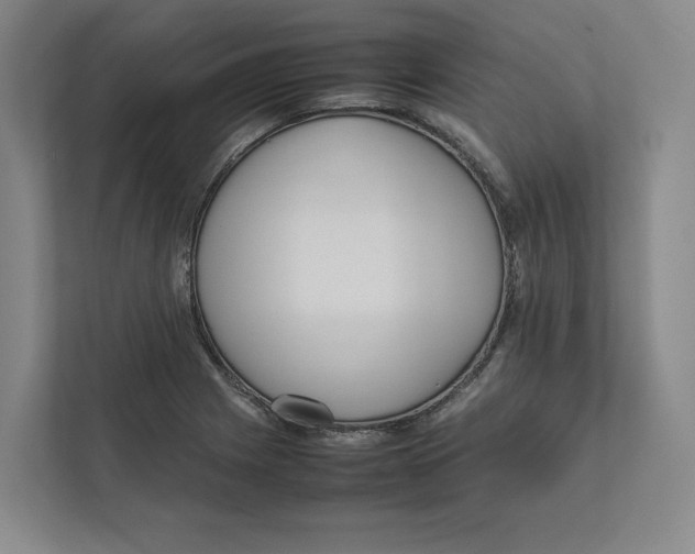 X0000111811225200908201104