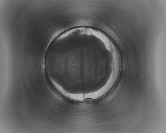 X0000111811226200908201104