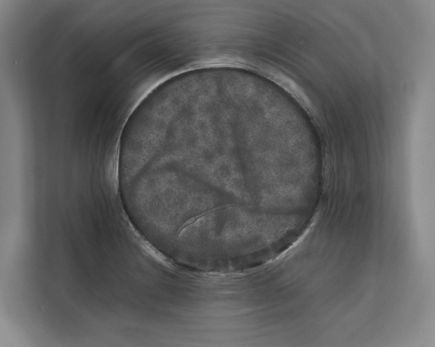 X0000111811228200908201104