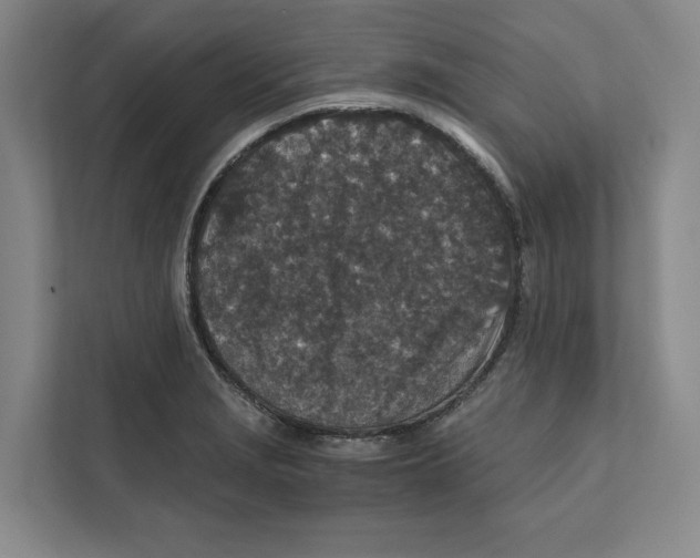 X0000111811229200908201104