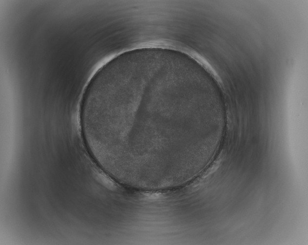 X0000111811230200908201104