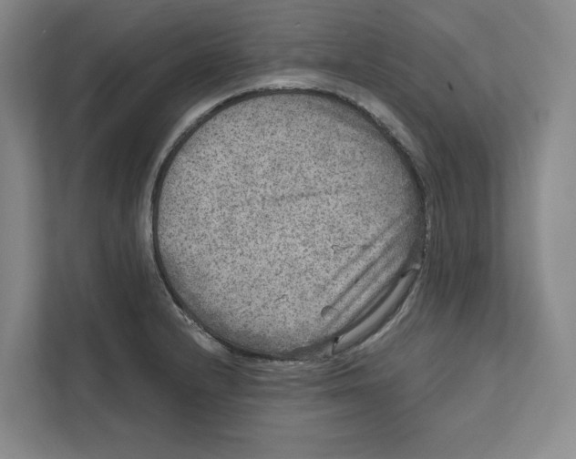 X0000111811232200908201104