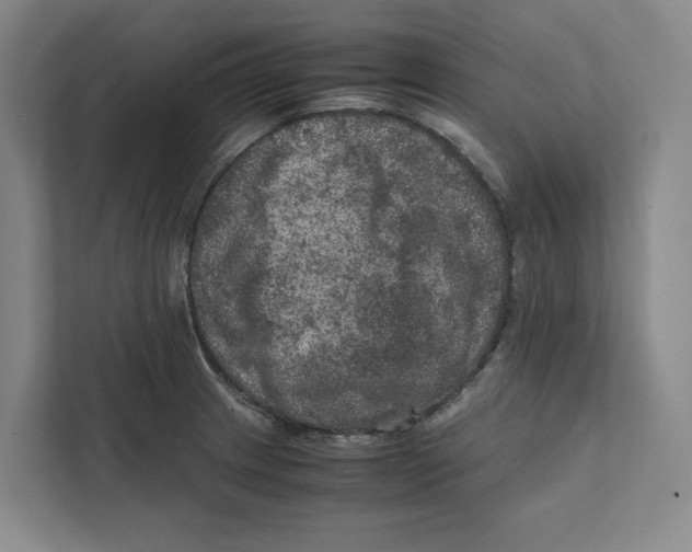 X0000111811233200908201104