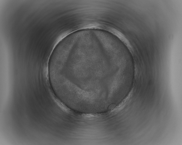 X0000111811234200908201104
