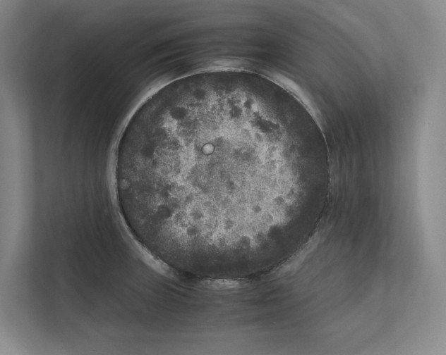 X0000111811235200908201104