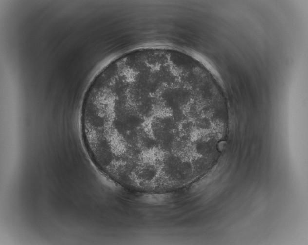 X0000111811237200908201104
