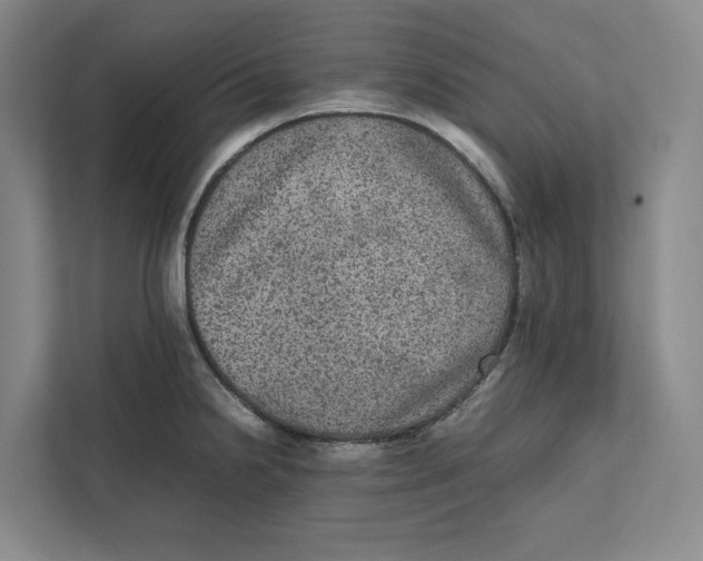 X0000111811238200908201104
