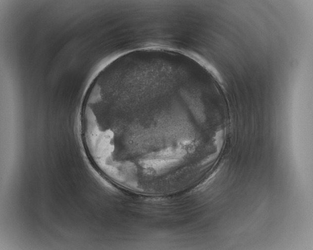 X0000111811239200908201104