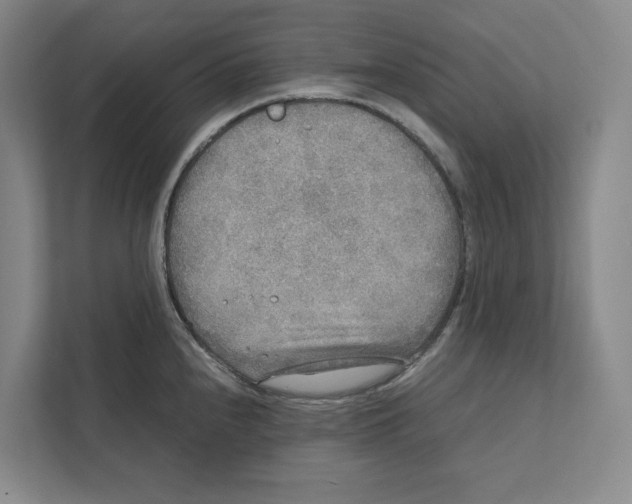 X0000111811240200908201104