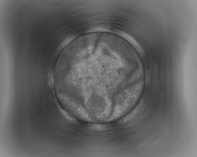 X0000111811241200908201104