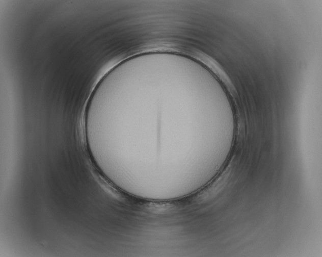 X0000111811242200908201104