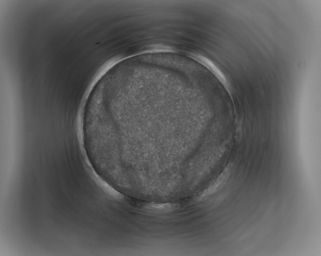 X0000111811243200908201104