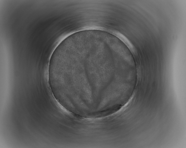 X0000111811244200908201104