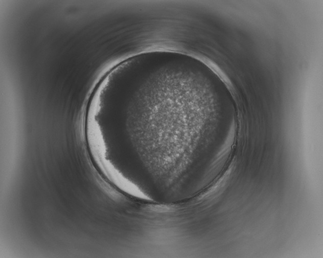 X0000111811246200908201104
