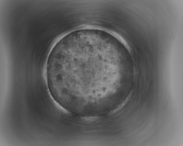 X0000111811247200908201104