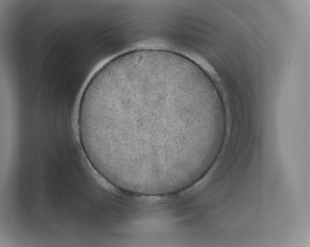 X0000111811248200908201104
