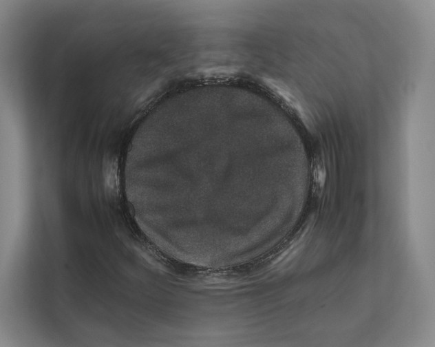 X0000111811252200908201103