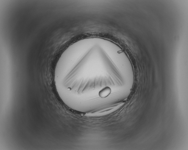 X0000111811253200908201103