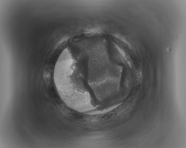 X0000111811254200908201103