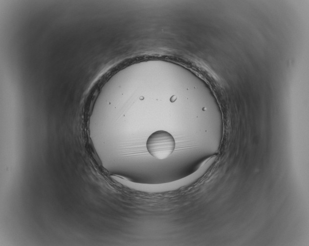X0000111811256200908201103