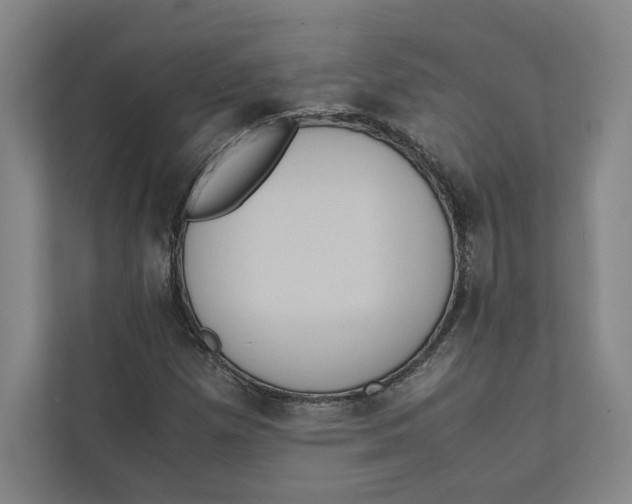 X0000111811257200908201103