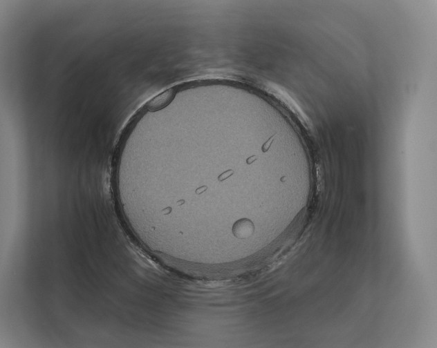 X0000111811260200908201103